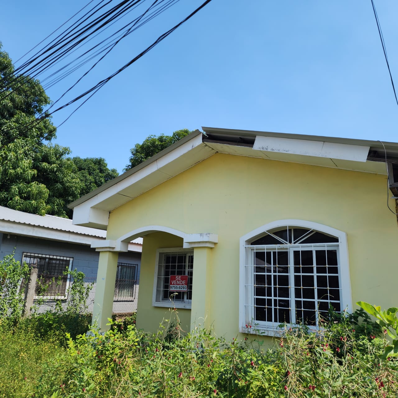 SAN PEDRO SULA, CORTÉS